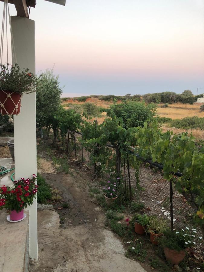 Ambelakia Bungalow Monemvasía Eksteriør bilde