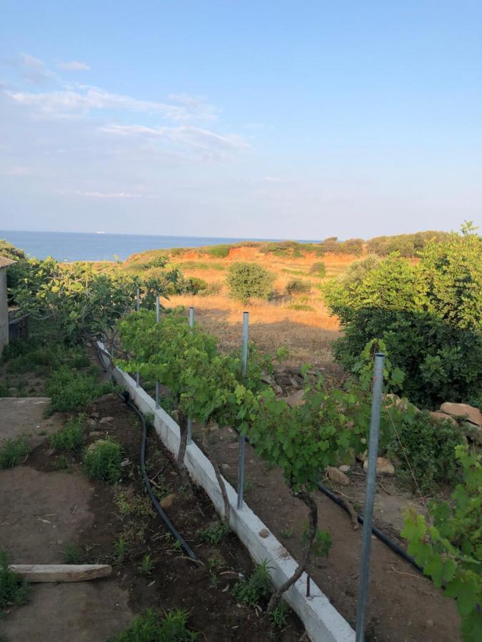 Ambelakia Bungalow Monemvasía Eksteriør bilde